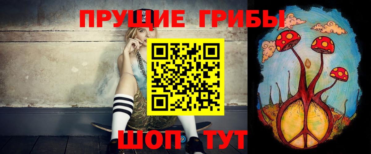 Можга  Псилоцибиновые грибы MAGIC MUSHROOMS  Вход с VPN 